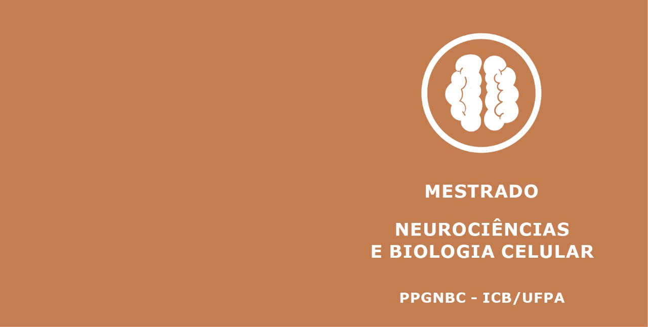 Read more about the article Mestrado em Neurociências e Biologia Celular