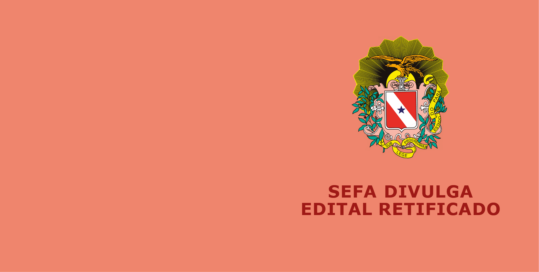 Read more about the article CONFIRA: Retificação do Edital da SEFA