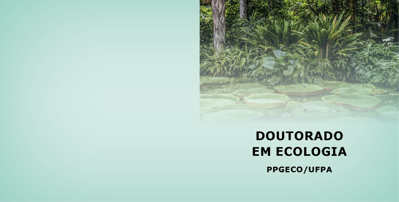 Read more about the article Inscrições abertas para Doutorado em Ecologia (PPGECO)